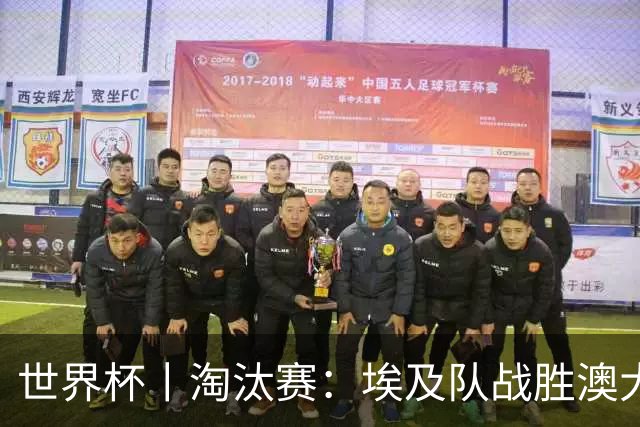 世界杯丨淘汰赛：埃及队战胜澳大利亚队