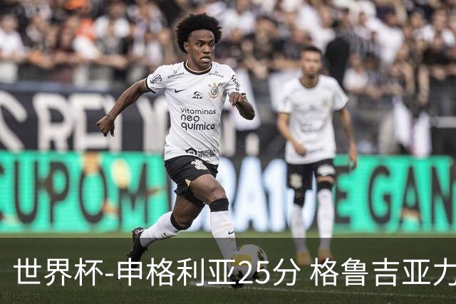 世界杯-申格利亚25分 格鲁吉亚力克委内瑞拉