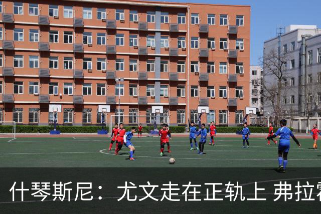 什琴斯尼：尤文走在正轨上 弗拉霍维奇非常出色