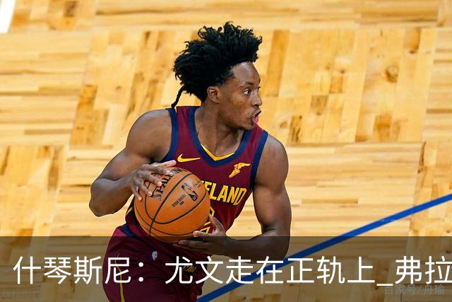 什琴斯尼：尤文走在正轨上 弗拉霍维奇非常出色