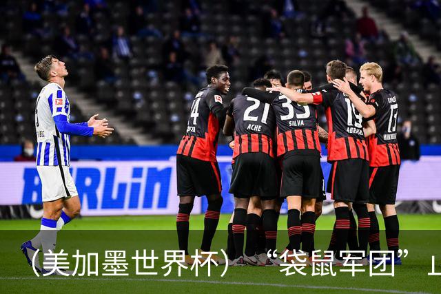 （美加墨世界杯）“袋鼠军团”止步32强 悉尼球迷难掩失落